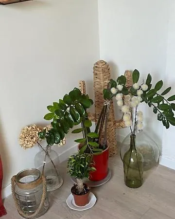 Près De Toulouse à * Castelginest