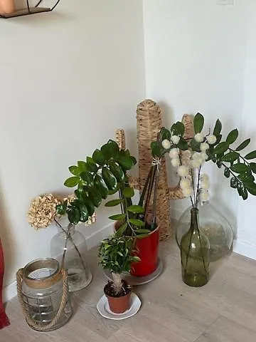 Près De Toulouse à * Castelginest