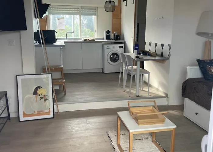 Appartement Près De Toulouse à Castelginest